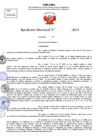 Vista preliminar de documento Resolucion Directoral N° 003672-2024