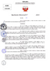 Vista preliminar de documento Resolucion Directoral N° 003674-2024