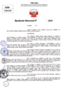 Vista preliminar de documento Resolucion Directoral N° 003675-2024