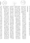 Vista preliminar de documento RESOLUCION DIRECTORAL N°147-2024-GRH-DRS-HTM