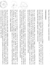 Vista preliminar de documento RESOLUCION DIRECTORAL N°149-2024-GRH-DRS-HTM