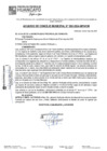 Vista preliminar de documento ACM24N093