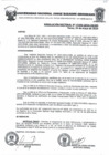 Vista preliminar de documento Resolucion