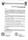 Vista preliminar de documento Resolucion