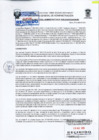 Vista preliminar de documento Resolucion