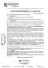 Vista preliminar de documento ACM24N101
