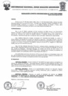 Vista preliminar de documento Resolucion