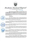 Vista preliminar de documento RDR-542-2024
