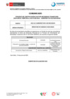 Vista preliminar de documento COMUNICADO - CAS N°020-2024 