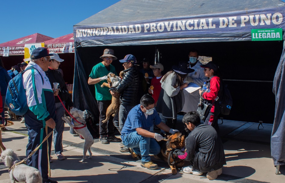 Servicios veterinarios municipales atienden a 80 mascotas en el “Patitatón judicial 2024”