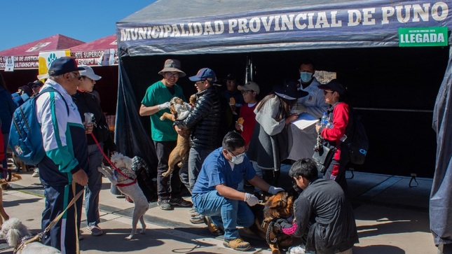 Servicios veterinarios municipales atienden a 80 mascotas en el “Patitatón judicial 2024”