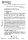 Vista preliminar de documento ACM24N104