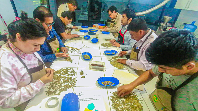 Productores de Huancabamba, Pacaipampa y Sapillica aprenden sobre control de calidad del café en curso del GORE