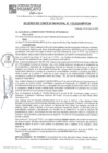 Vista preliminar de documento ACM24N110