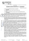 Vista preliminar de documento ACM24N111