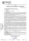 Vista preliminar de documento ACM24N113