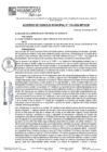 Vista preliminar de documento ACM24N114