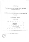 Vista preliminar de documento ANEXO N° 6