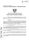 Vista preliminar de documento 024-2024-GRAL
