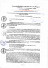 Vista preliminar de documento resolucion 21