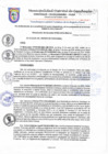 Vista preliminar de documento resolucion 22