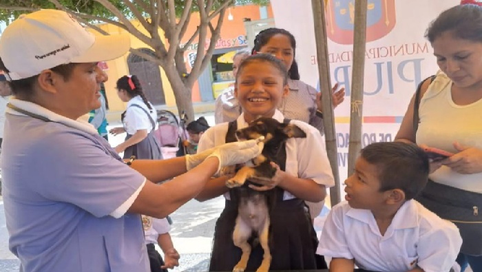Atención veterinaria
