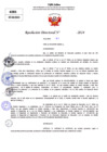 Vista preliminar de documento Resolucion Directoral N° 003715-2024
