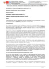 Vista preliminar de documento RJD-029-2024-DIAD
