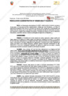Vista preliminar de documento 250