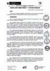 Vista preliminar de documento rd132-2024