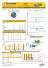 Vista preliminar de documento Boletín de volumen y precio de PAPA - 11/06/2024