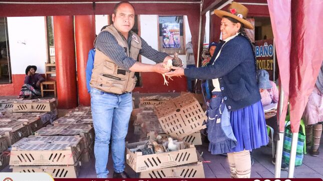 Entrega de pollos a nuestras mamitas participantes en los Comedores Populares