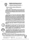 Vista preliminar de documento RGR0230-2024-GRI