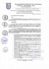 Vista preliminar de documento resolucion 28