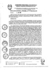 Vista preliminar de documento RGR0229-2024-GRI