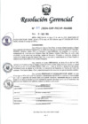 Vista preliminar de documento RESOLUCION N° 209-2024-PECHP