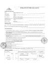 Vista preliminar de documento Perfil de Puesto