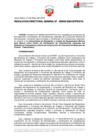 Vista preliminar de documento RDG 043-2024 IE y LE Construc de Instrumentos Musicales de Cuerda-Tradicionales