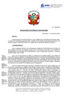 Vista preliminar de documento RJ 234-2024