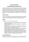 Vista preliminar de documento CCLXXVII Pleno del Tribunal Registral - Sunarp