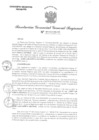 Vista preliminar de documento RGGR 307-2024