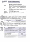 Vista preliminar de documento circular-n-38-2024-comite-de-seleccion