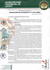 Vista preliminar de documento RESOLUCION DE ALCALDIA N 313-2024-A-MPS