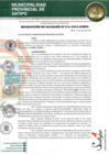 Vista preliminar de documento RESOLUCION DE ALCALDIA N 315-2024-A-MPS