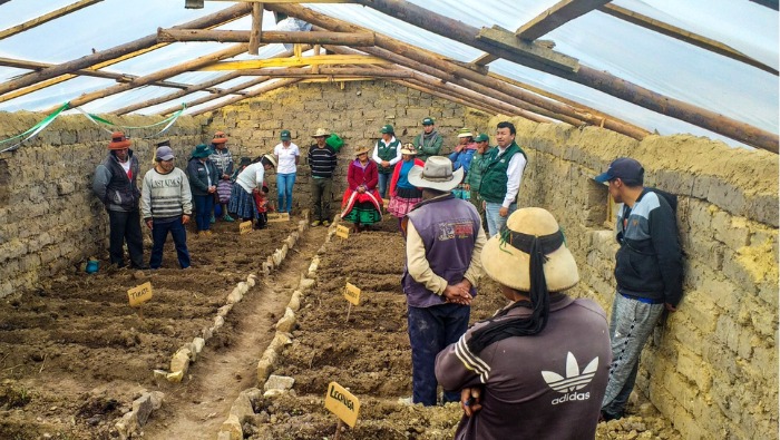 Gobierno entregará este año más de 5 mil cobertizos y fitotoldos para proteger al sector agropecuario de las heladas en zonas alto andinas