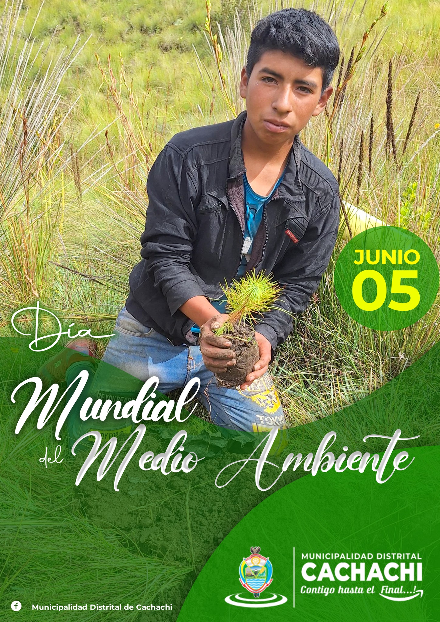 Día del medio ambiente