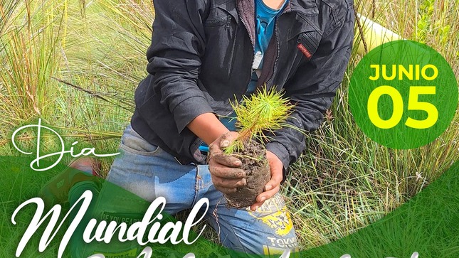 Día del medio ambiente 