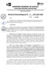 Vista preliminar de documento RDR N° 247-2024-GRU-DRA
