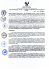 Vista preliminar de documento RDR N° 269-2024-10-06-2024