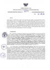Vista preliminar de documento RDR N° 271-2024-11-06-2024